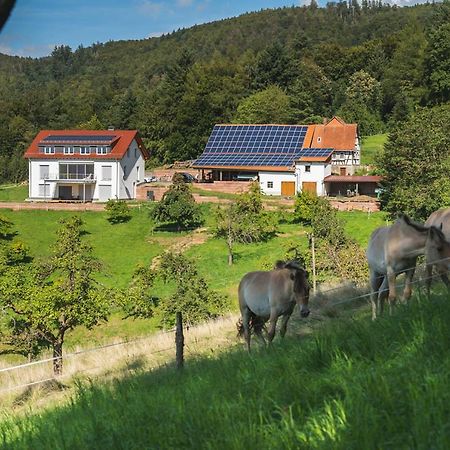 Gruenewaldhof In Rimbach Im Odenwald Rimbach (Hessen) Exterior foto