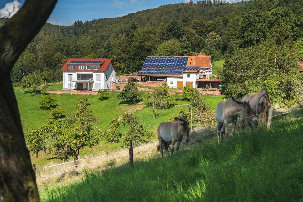 Gruenewaldhof In Rimbach Im Odenwald Rimbach (Hessen) Exterior foto